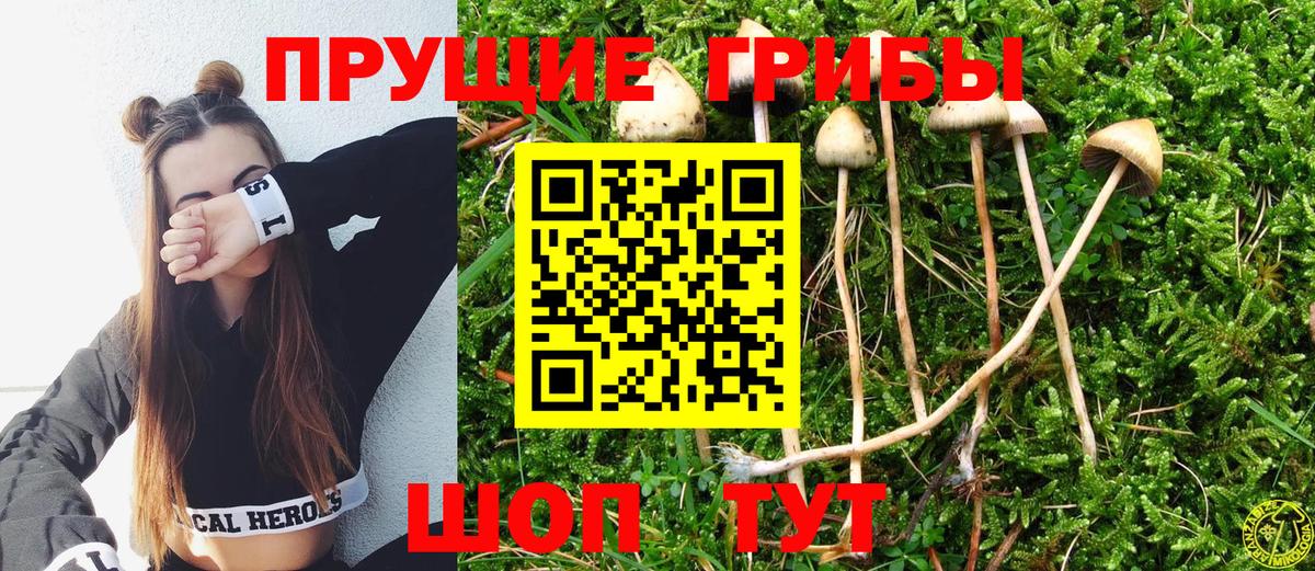 Галлюциногенные грибы Cubensis  Псилоцибиновые грибы Psilocybine cubensis  Вход с VPN  Кубинка 